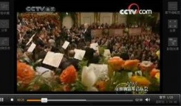 最新爆料维也纳视频,最新爆料背后的惊人真相